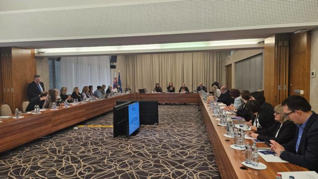 Slovacii din România, la ședința de coordonare pe educație în diaspora