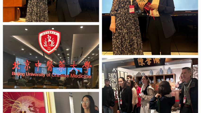 Elevii și profesorii de la Liceul EuroEd în tabăra „Chinese Bridge” din Beijing, China Elevii și profesorii de la Liceul EuroEd în tabăra „Chinese Bridge” din Beijing, China