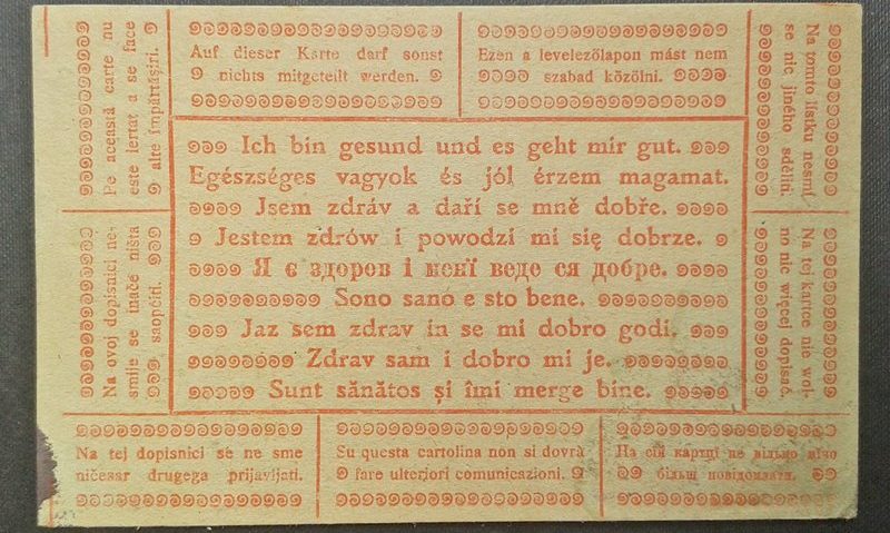 Diversitatea lingvistică a Monarhiei Habsburgice / cu cercetătoarea Tamara Scheer Diversitatea lingvistică a Monarhiei Habsburgice / cu cercetătoarea Tamara Scheer