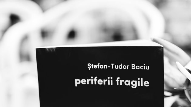 Dialog intercultural prin vocea scriitorului Ștefan Tudor Baciu