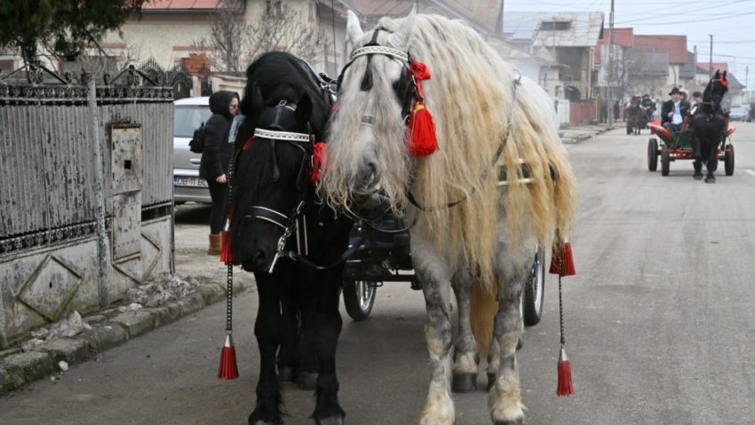 Sărbătoarea tradițională a Comunității bulgarilor din Târgoviște Tudorița