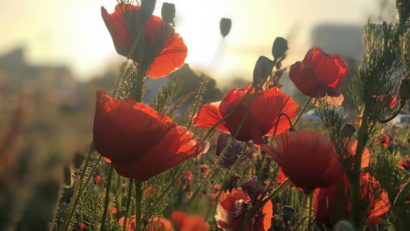 Dan Sterian / La mulți ani maghiarilor de pretutindeni