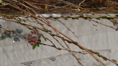 „Śmiergust”, o veche tradiție în comunitatea polonezilor din Bucovina