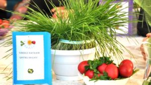 Nawrez, sărbătoarea primăverii la popoarele turcice