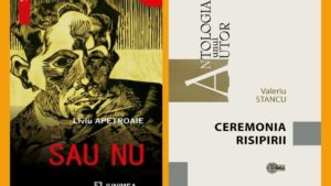 Valeriu Stancu, un neo-romantic al postmodernismului liric